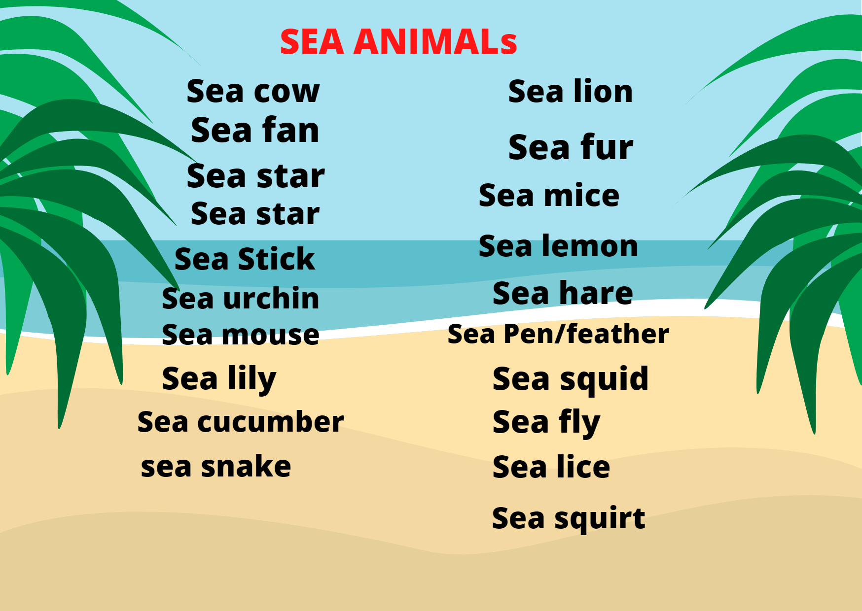 Sea Animals |Examples and Phylum it Belongs